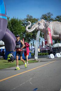 BIB: 
                            <button type="button" onclick="openModal(26542276)" class="btn btn-primary btn-sm float-right btn-popup" data-toggle="modal" data-target=".modal-high-quality">
                        <i class="fas fa-shopping-cart"></i> Add to Cart
                    </button>
                                            <button type="button" onclick="isThisMe(26542276, true)" class="btn btn-success btn-sm float-right btn-popup btn-isme hidden" data-toggle="tooltip" data-placement="bottom" title="นี่คือรูปของคุณใช่ไหม คลิกที่นี่เพื่อเอาเข้าอัลบั้ม">
                        <i class="fas fa-plus"></i> Add to album
                    </button>
                    <button type="button" onclick="isThisMe(26542276, false)" class="btn btn-warning btn-sm float-right btn-popup btn-isnotme hidden">
                        <i class="fas fa-ban"></i> Remove from album
                    </button>